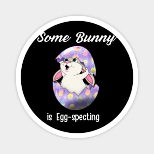 Some Bunny Is Egg-specting Magnet